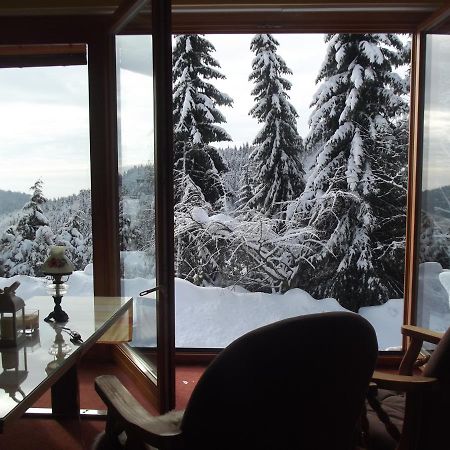 Chata S Vyhledem Jáchymov Extérieur photo