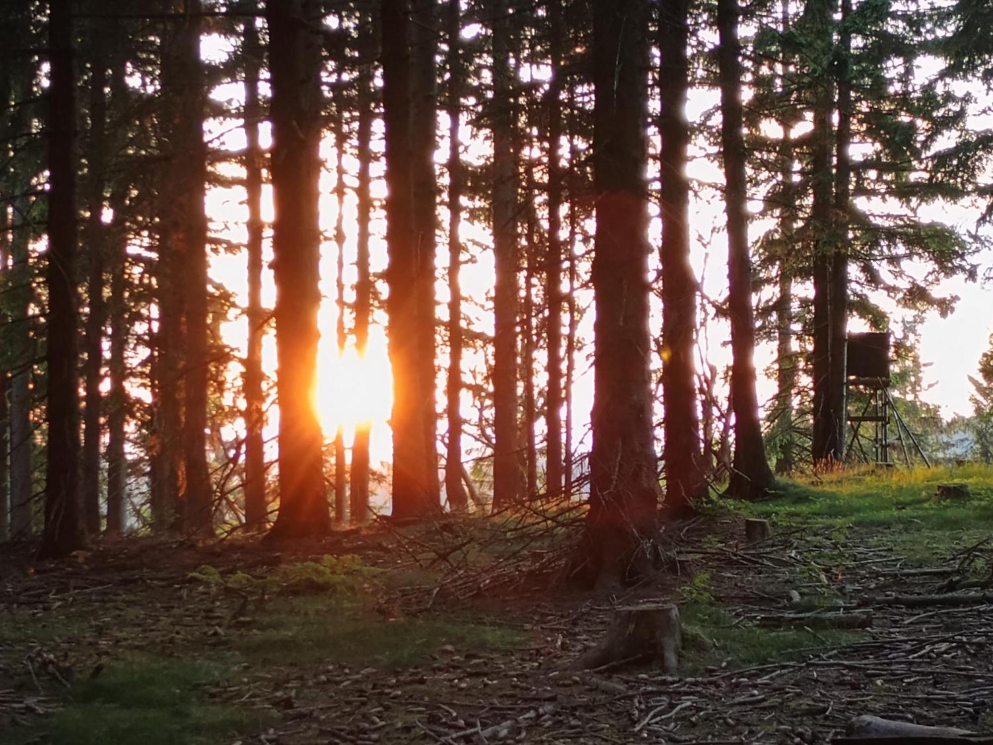 Chata S Vyhledem Jáchymov Extérieur photo