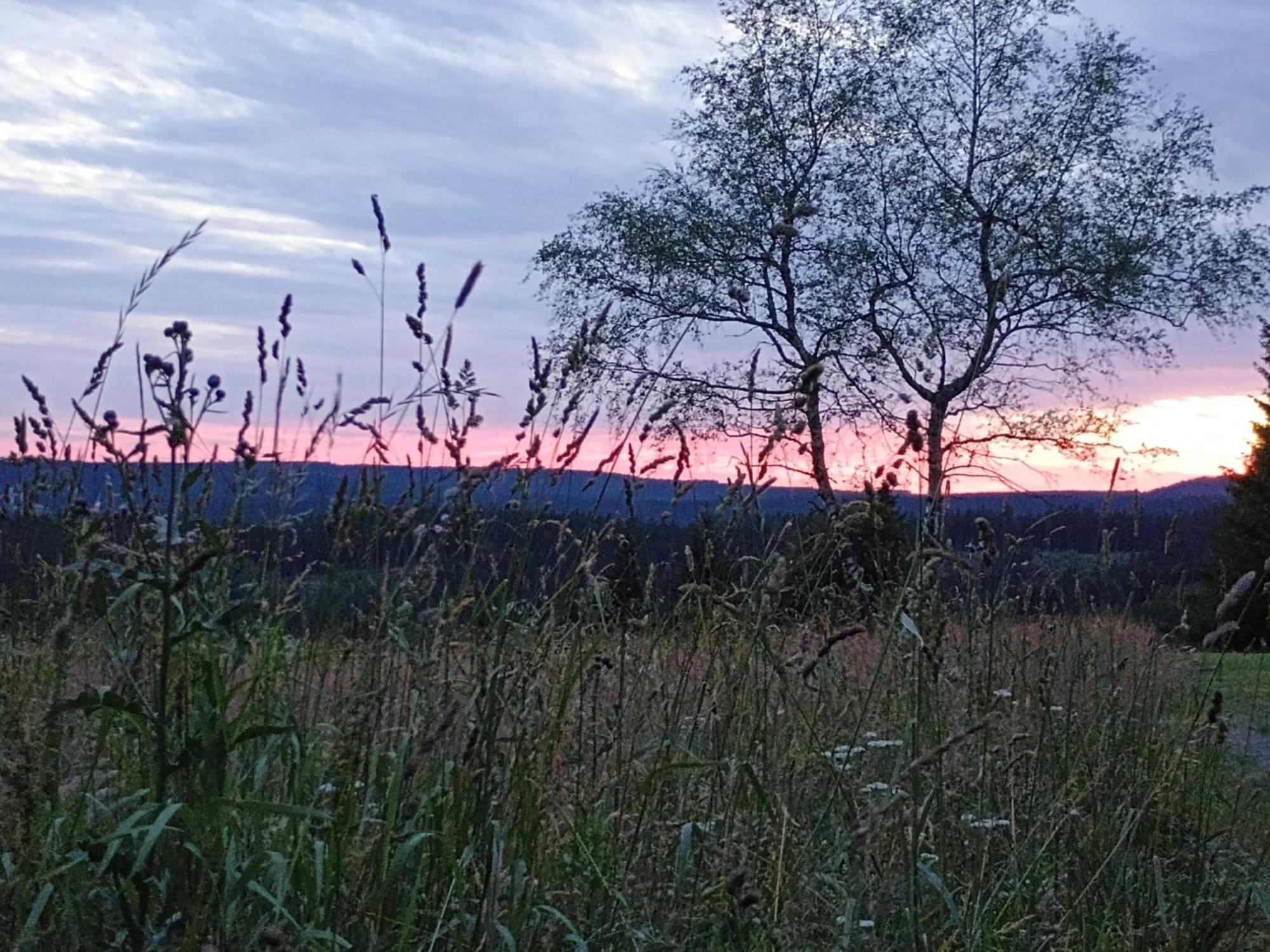 Chata S Vyhledem Jáchymov Extérieur photo